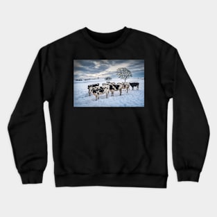 Cows in a Snowy Field with Trees Crewneck Sweatshirt